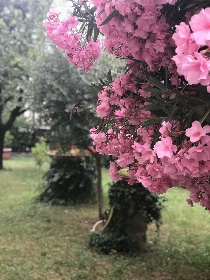 フィレンツェ La Casa Di Claudiaヴィラ エクステリア 写真